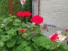 Bild 2 - Aussen