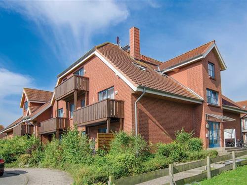 Ferielejlighed - 2 personer -  - An der Aue - 23747 - Dahme