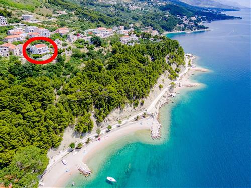 Ferielejlighed - 2 personer -  - Dunaj - 21322 - Brela