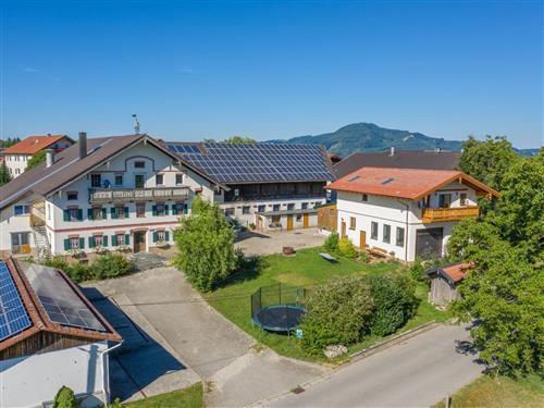 Holiday apartment - 2 persons -  - Steinbrünning - 83416 - Saaldorf-Surheim