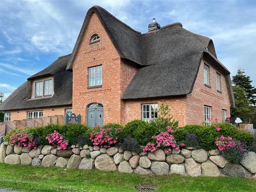 Fritidshus - 6 personer -  - Helgoländerstr. - 25826 - St Peter-Ording