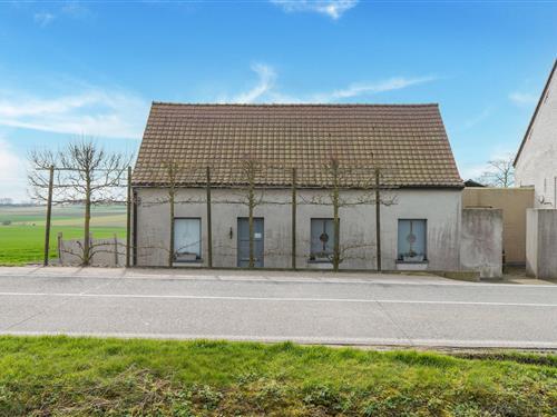 Sommerhus - 4 personer -  - 7782 - Ploegsteert