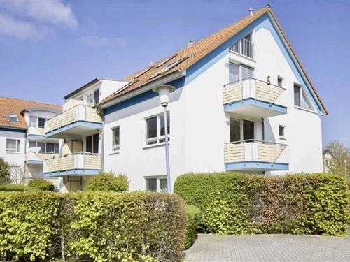 Ferielejlighed - 3 personer -  - Darßer Weg - 18374 - Zingst