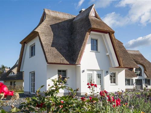 Feriehus - 4 personer -  - Am Schabernack - 18356 - Fuhlendorf