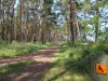 Bild 17