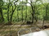 Image 11 - Outside