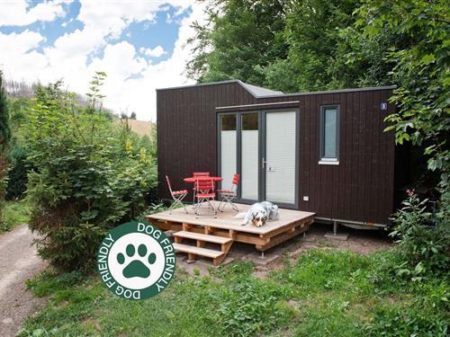 Sommerhus - 4 personer -  - An der Mühlwiese - 37520 - Osterode