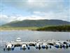 Image 6 - View of water