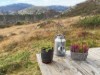 Image 39