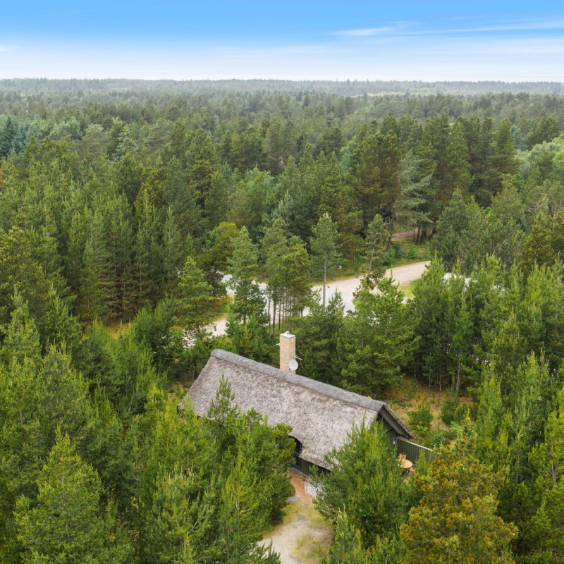 Sommerhus - 6 personer -  - Højsvej - Houstrup - 6830 - Nr. Nebel