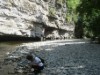 Billede 19