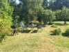 Bilde 13