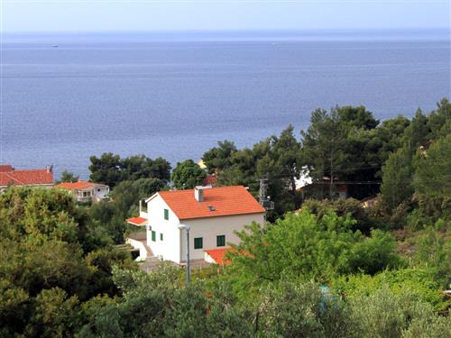 Ferieleilighet - 4 personer -  - Ivan Dolac 113, Ivan Dolac - 21465 - Jelsa