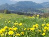 Bild 33