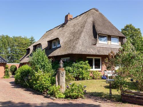 Ferienwohnung - 2 Personen -  - Sanghughwai - 25946 - Nebel