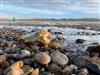 Bild 14 - Blick über's Wasser