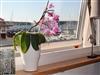 Bild 12 - Inde
