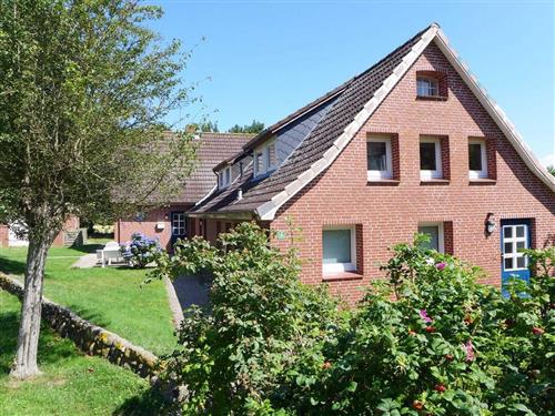 Ferieleilighet - 3 personer -  - Drunken-Manns-Stieg - 25938 - Nieblum