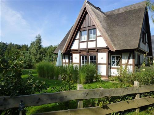 Sommerhus - 6 personer -  - Am Peenestrom - 17406 - Rankwitz / Quilitz