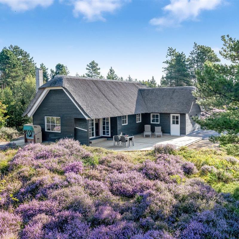 Ferienhaus - 4 Personen -  - Kap Farvel - Kongsmark - 6792 - Römö