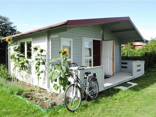 Holiday Home/Apartment - 4 persons -  - 72-400 - Wrzosowo