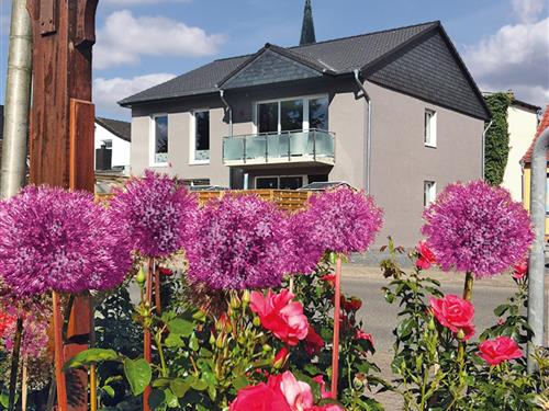 Holiday apartment - 4 persons -  - Hafengang - 24837 - Schleswig