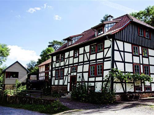 Ferienhaus - 4 Personen -  - 99765 - Hamma