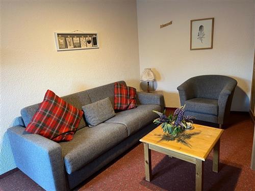 Holiday apartment - 4 persons -  - Kurhaus Straße - 79674 - Todtnau- Todtnauberg
