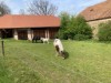 Billede 8