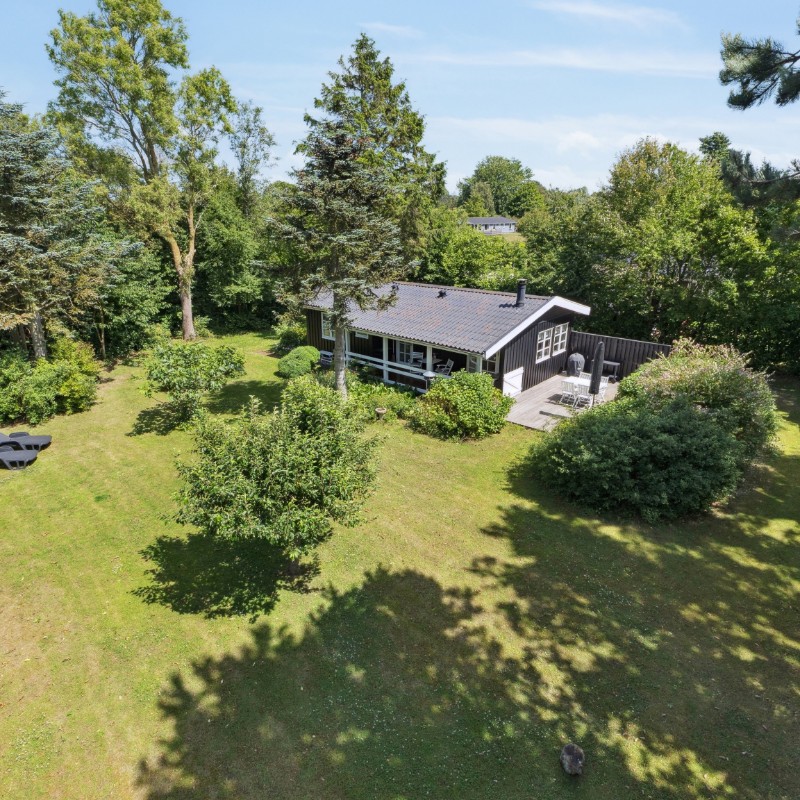 Sommerhus - 4 personer -  - Røllikevej - 5953 - Tranekær