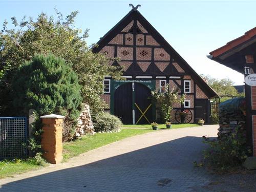 Feriehus - 4 personer -  - 29479 - Jameln