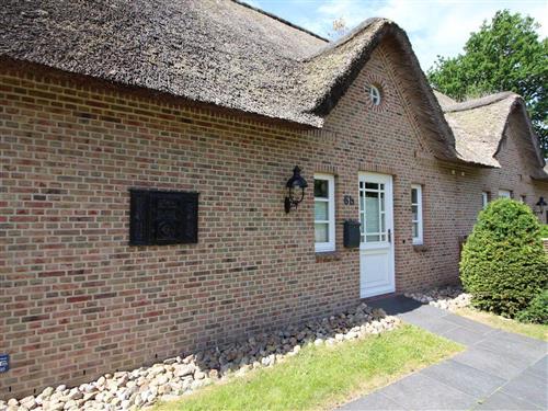 Sommerhus - 6 personer -  - Am Tümmeldiek - 25826 - St. Peter-Ording