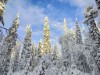 Bild 15 - Ude