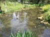 Bilde 8