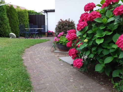 Ferielejlighed - 2 personer -  - Gartenbungalow, FeWo, Ferienzimmer - 18230 - Rerik