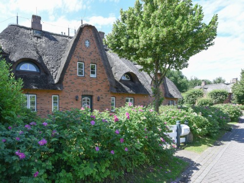 Sommerhus - 4 personer -  - August-Endell-Weg - 25938 - Wyk Auf Föhr