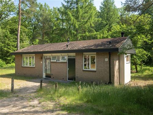 Semesterhus/Semesterlägenhet - 8 personer -  - Boshoffweg - 6961 LD - Eerbeek