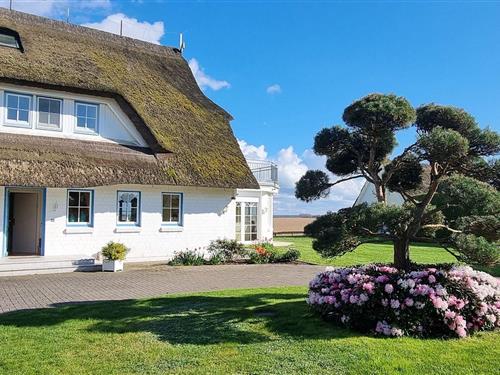 Ferielejlighed - 2 personer -  - Koppelstrom - 18375 - Born