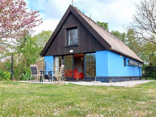 Ferienhaus - 2 Personen -  - Pantow - 18528 - Zirkow