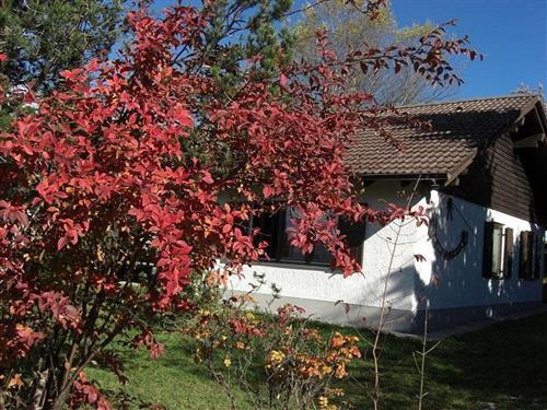 Feriecenter - 6 personer -  - Gamssteige - 87484 - Nesselwang