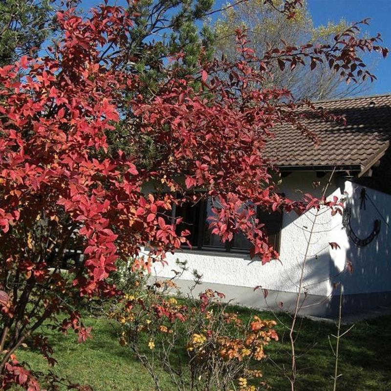 Feriecenter - 6 personer -  - Gamssteige - 87484 - Nesselwang