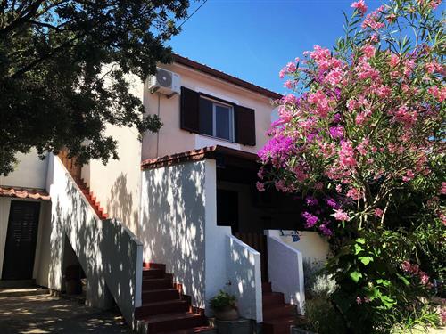 Ferielejlighed - 3 personer -  - Artatore - 51550 - Mali Losinj