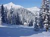 Bild 36