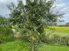 Bild 13