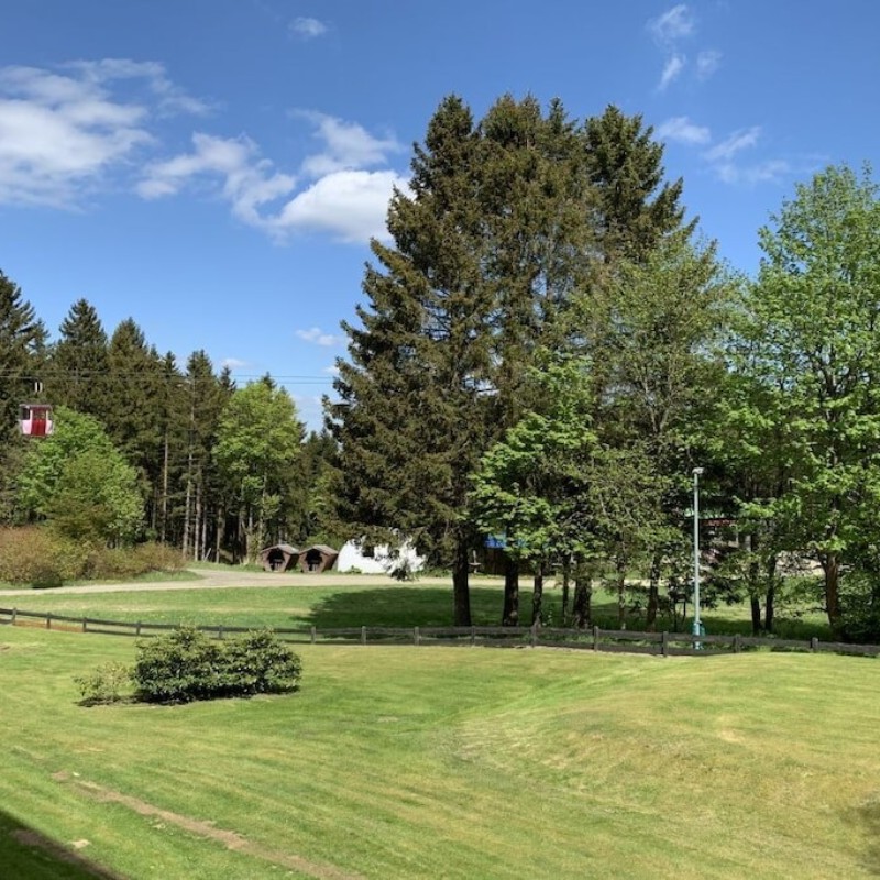Sommerhus - 8 personer -  - 38644 - Hahnenklee\/ Goslar