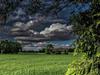 Bilde 27