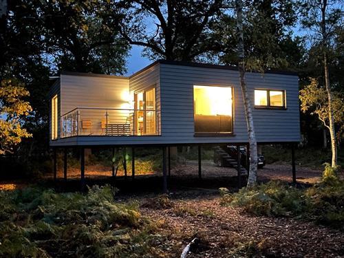 Feriehus - 6 personer -  - Tierparkstraße - 49419 - Wagenfeld