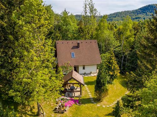 Feriehus - 4 personer -  - Homer - Gorski Kotar - Lokve - 51300 - Delnice