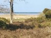 Bild 4 - Ude