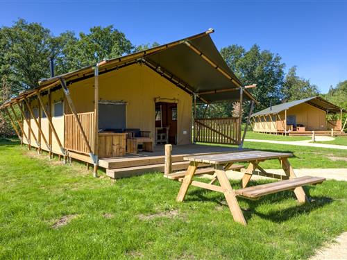 Tent lodge - 6 persons -  - 7722SE - Dalfsen